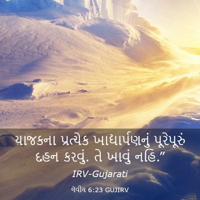 Picture 03 - લેવીય 6:23 GUJIRV - યાજકના પ્રત્યેક - Bible Verse Picture