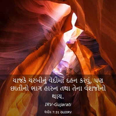 Picture 03 - લેવીય 7:31 GUJIRV - યાજકે ચરબીનું - Bible Verse Picture