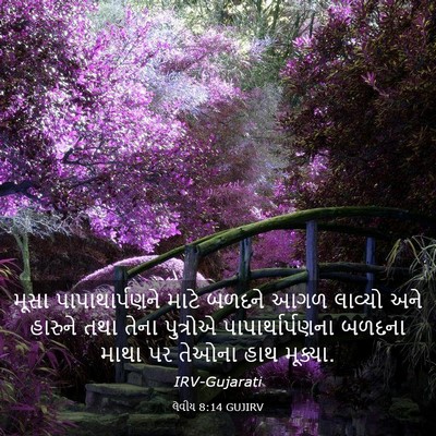 Picture 03 - લેવીય 8:14 GUJIRV - મૂસા પાપાથાર્પણને - Bible Verse Picture
