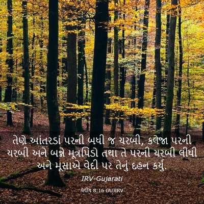 Picture 03 - લેવીય 8:16 GUJIRV - તેણે આંતરડાં પરની - Bible Verse Picture