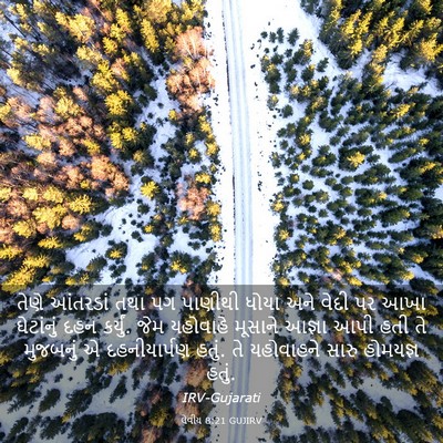Picture 03 - લેવીય 8:21 GUJIRV - તેણે આંતરડાં તથા - Bible Verse Picture