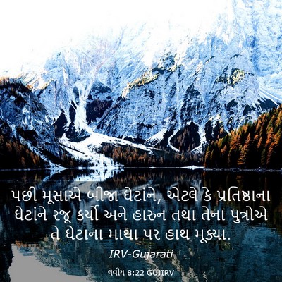 Picture 03 - લેવીય 8:22 GUJIRV - પછી મૂસાએ બીજા - Bible Verse Picture