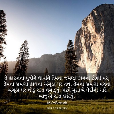 Picture 03 - લેવીય 8:24 GUJIRV - તે હારુનના - Bible Verse Picture