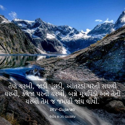 Picture 03 - લેવીય 8:25 GUJIRV - તેણે ચરબી, જાડી - Bible Verse Picture