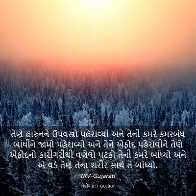 Picture 03 - લેવીય 8:7 GUJIRV - તેણે હારુનને - Bible Verse Picture