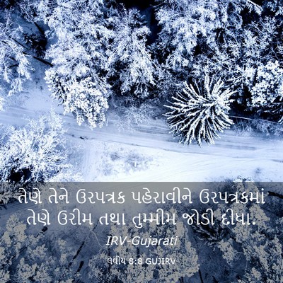Picture 03 - લેવીય 8:8 GUJIRV - તેણે તેને ઉરપત્રક - Bible Verse Picture