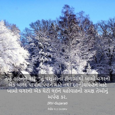 Picture 03 - લેવીય 9:2 GUJIRV - તેણે હારુનને - Bible Verse Picture