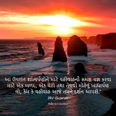 Picture 03 - લેવીય 9:4 GUJIRV - આ ઉપરાંત - Bible Verse Picture