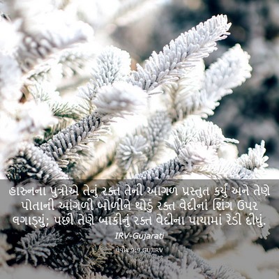 Picture 03 - લેવીય 9:9 GUJIRV - હારુનના પુત્રોએ - Bible Verse Picture