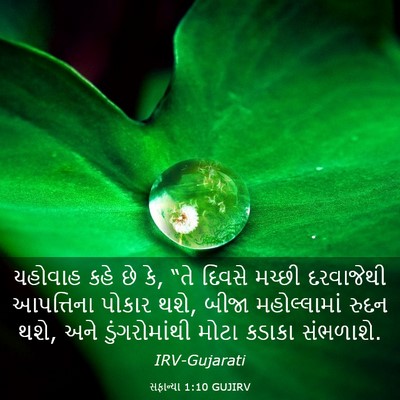 Picture 03 - સફાન્યા 1:10 GUJIRV - યહોવાહ કહે છે કે, - Bible Verse Picture
