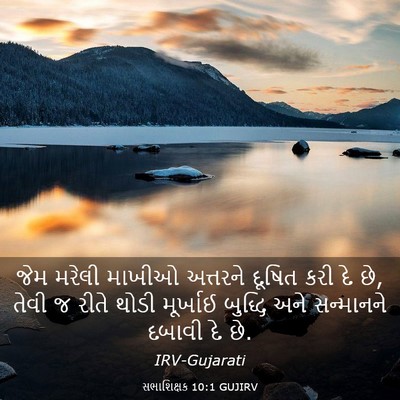 Picture 03 - સભાશિક્ષક 10:1 GUJIRV - જેમ મરેલી માખીઓ - Bible Verse Picture