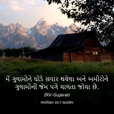 Picture 03 - સભાશિક્ષક 10:7 GUJIRV - મેં ગુલામોને ઘોડે - Bible Verse Picture