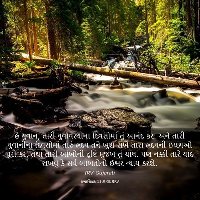 Picture 03 - સભાશિક્ષક 11:9 GUJIRV - હે યુવાન, તારી - Bible Verse Picture