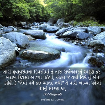 Picture 03 - સભાશિક્ષક 12:1 GUJIRV - તારી યુવાવસ્થાના - Bible Verse Picture