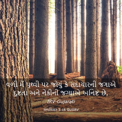Picture 03 - સભાશિક્ષક 3:16 GUJIRV - વળી મેં પૃથ્વી પર - Bible Verse Picture