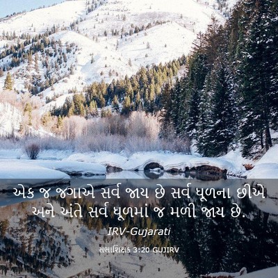 Picture 03 - સભાશિક્ષક 3:20 GUJIRV - એક જ જગાએ સર્વ જાય - Bible Verse Picture