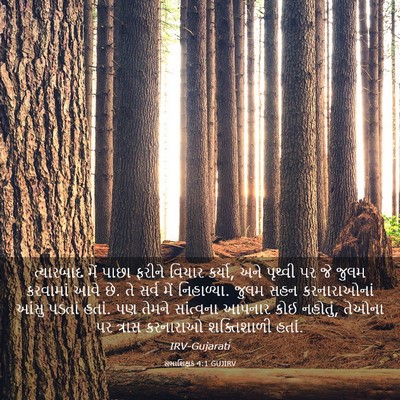 Picture 03 - સભાશિક્ષક 4:1 GUJIRV - ત્યારબાદ મેં પાછા - Bible Verse Picture