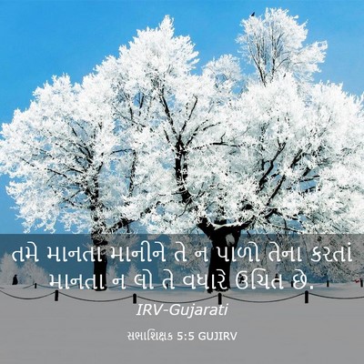 Picture 03 - સભાશિક્ષક 5:5 GUJIRV - તમે માનતા માનીને - Bible Verse Picture