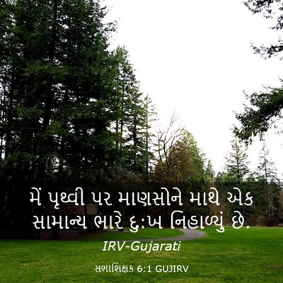 Picture 03 - સભાશિક્ષક 6:1 GUJIRV - મેં પૃથ્વી પર - Bible Verse Picture