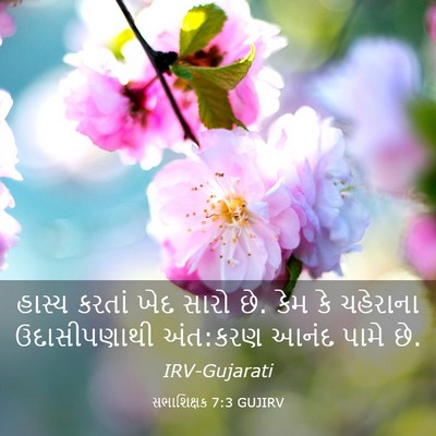 Picture 03 - સભાશિક્ષક 7:3 GUJIRV - હાસ્ય કરતાં ખેદ - Bible Verse Picture
