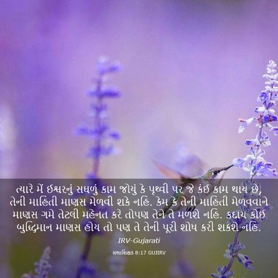 Picture 03 - સભાશિક્ષક 8:17 GUJIRV - ત્યારે મેં - Bible Verse Picture