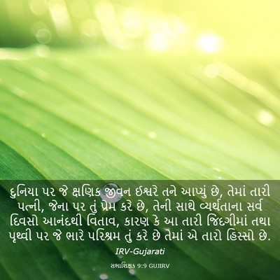 Picture 03 - સભાશિક્ષક 9:9 GUJIRV - દુનિયા પર જે - Bible Verse Picture