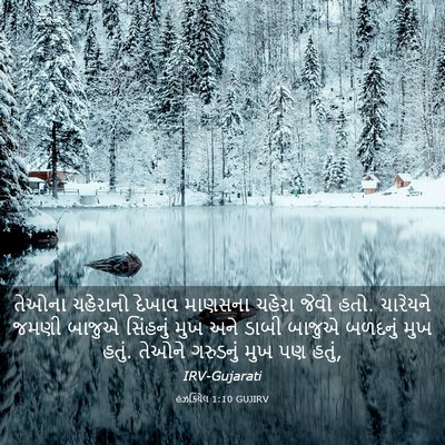 Picture 03 - હઝકિયેલ 1:10 GUJIRV - તેઓના ચહેરાનો - Bible Verse Picture