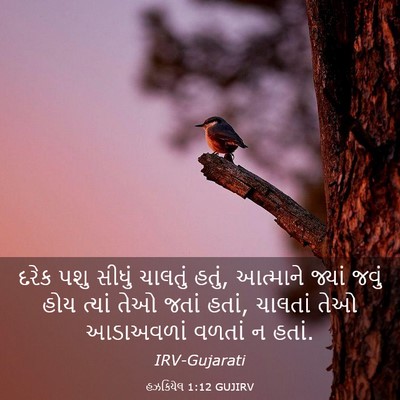 Picture 03 - હઝકિયેલ 1:12 GUJIRV - દરેક પશુ સીધું - Bible Verse Picture