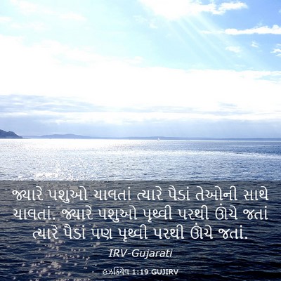 Picture 03 - હઝકિયેલ 1:19 GUJIRV - જ્યારે પશુઓ - Bible Verse Picture