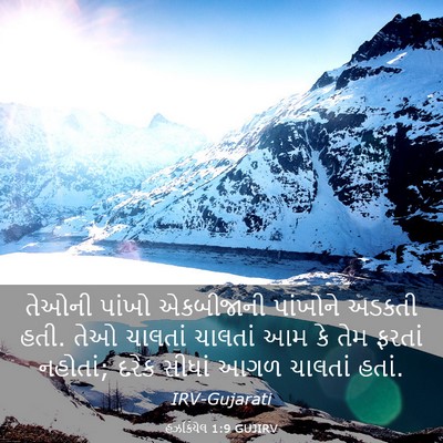 Picture 03 - હઝકિયેલ 1:9 GUJIRV - તેઓની પાંખો - Bible Verse Picture
