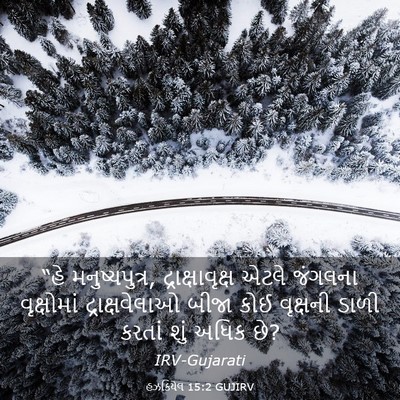 Picture 03 - હઝકિયેલ 15:2 GUJIRV - “હે મનુષ્યપુત્ર, - Bible Verse Picture