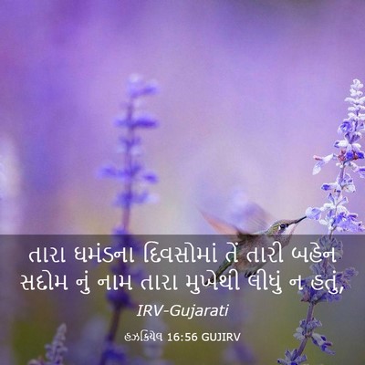 Picture 03 - હઝકિયેલ 16:56 GUJIRV - તારા ઘમંડના - Bible Verse Picture