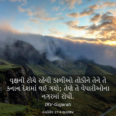 Picture 03 - હઝકિયેલ 17:4 GUJIRV - વૃક્ષની ટોચે - Bible Verse Picture
