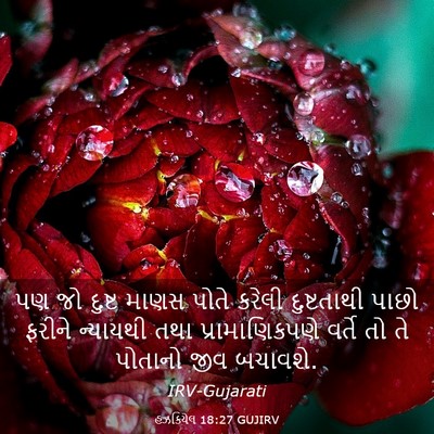 Picture 03 - હઝકિયેલ 18:27 GUJIRV - પણ જો દુષ્ટ માણસ - Bible Verse Picture