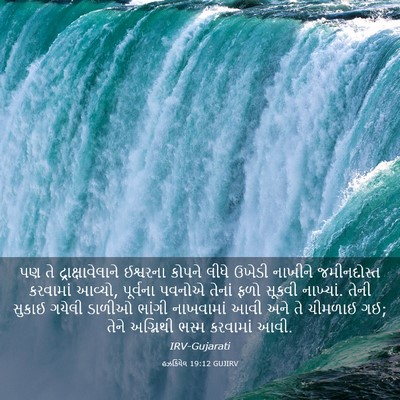 Picture 03 - હઝકિયેલ 19:12 GUJIRV - પણ તે - Bible Verse Picture
