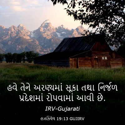 Picture 03 - હઝકિયેલ 19:13 GUJIRV - હવે તેને અરણ્યમાં - Bible Verse Picture