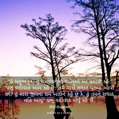 Picture 03 - હઝકિયેલ 20:3 GUJIRV - “હે મનુષ્યપુત્ર, - Bible Verse Picture