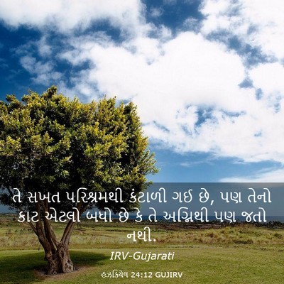 Picture 03 - હઝકિયેલ 24:12 GUJIRV - તે સખત પરિશ્રમથી - Bible Verse Picture