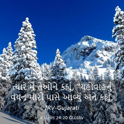 Picture 03 - હઝકિયેલ 24:20 GUJIRV - ત્યારે મેં તેઓને - Bible Verse Picture