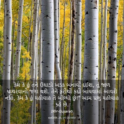 Picture 03 - હઝકિયેલ 26:14 GUJIRV - કેમ કે હું તને - Bible Verse Picture