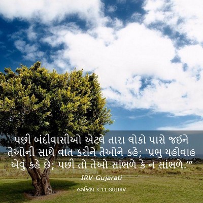 Picture 03 - હઝકિયેલ 3:11 GUJIRV - પછી બંદીવાસીઓ - Bible Verse Picture