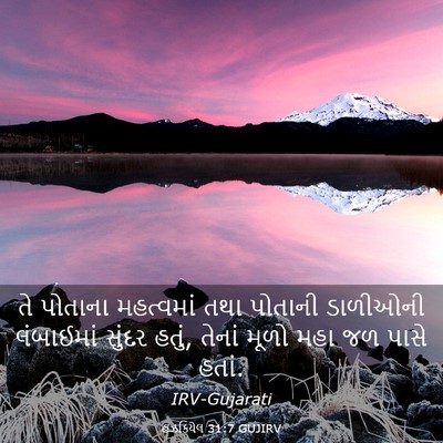 Picture 03 - હઝકિયેલ 31:7 GUJIRV - તે પોતાના - Bible Verse Picture