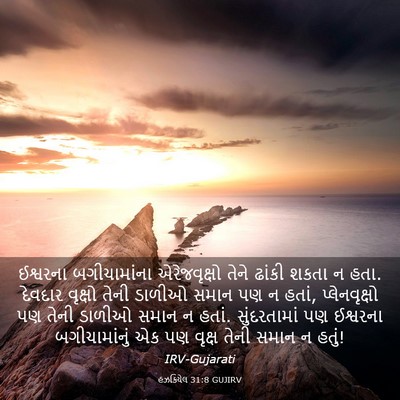 Picture 03 - હઝકિયેલ 31:8 GUJIRV - ઈશ્વરના - Bible Verse Picture