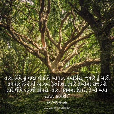 Picture 03 - હઝકિયેલ 32:10 GUJIRV - તારા વિષે હું ઘણા - Bible Verse Picture