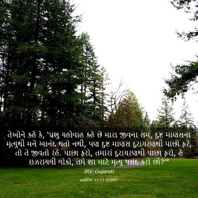 Picture 03 - હઝકિયેલ 33:11 GUJIRV - તેઓને કહે કે, - Bible Verse Picture
