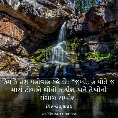 Picture 03 - હઝકિયેલ 34:11 GUJIRV - કેમ કે પ્રભુ - Bible Verse Picture