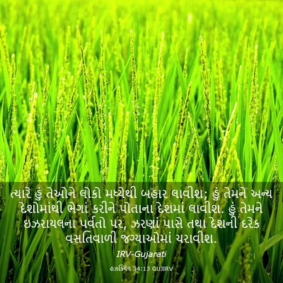 Picture 03 - હઝકિયેલ 34:13 GUJIRV - ત્યારે હું તેઓને - Bible Verse Picture