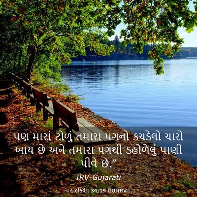 Picture 03 - હઝકિયેલ 34:19 GUJIRV - પણ મારાં ટોળું - Bible Verse Picture