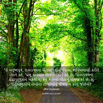 Picture 03 - હઝકિયેલ 34:2 GUJIRV - “હે મનુષ્યપુત્ર, - Bible Verse Picture