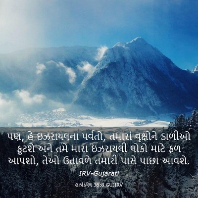 Picture 03 - હઝકિયેલ 36:8 GUJIRV - પણ, હે ઇઝરાયલના - Bible Verse Picture